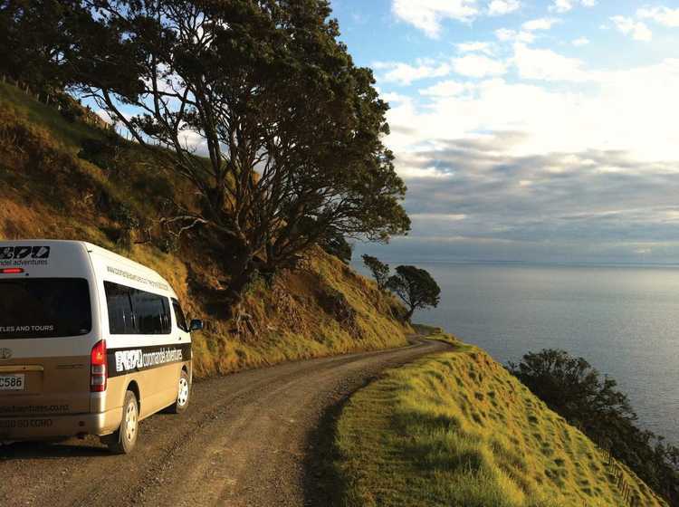 Sightseeing Tours