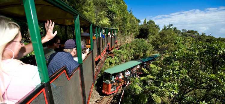 Driving Creek Railway4
