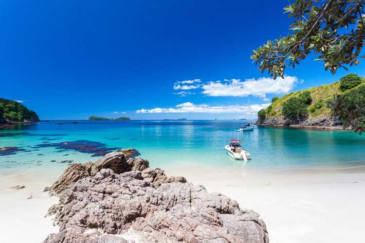 Search and Explore The Coromandel