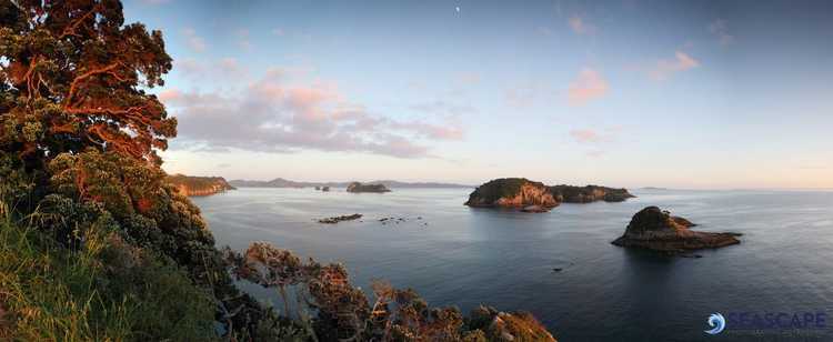 Hahei Sunrise Watermark