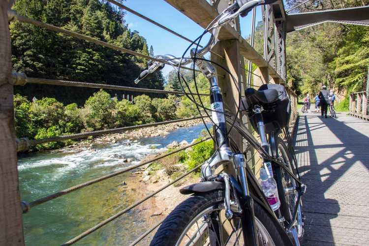 Hauraki Rail Trail 9