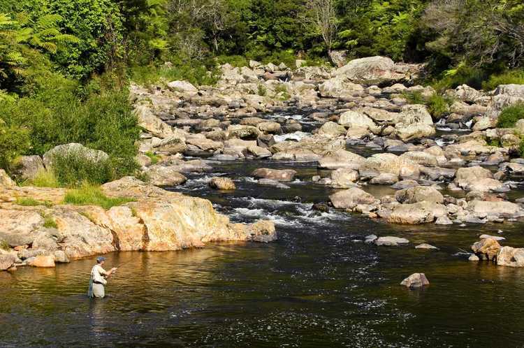 Karangahake Gorge 11