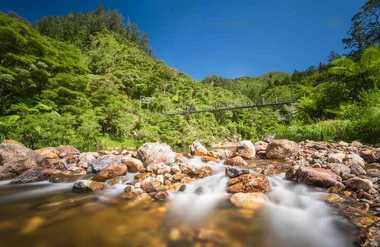 Karangahake Gorge by bike