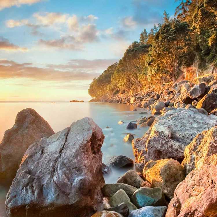 Discover Thames | The Coromandel | New Zealand