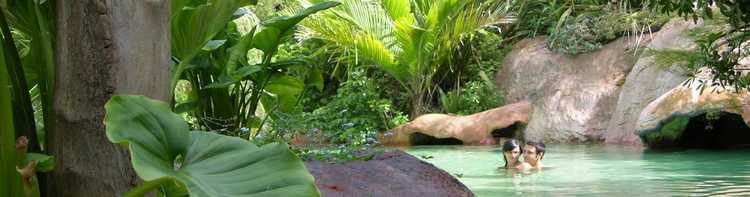 The Lost Spring