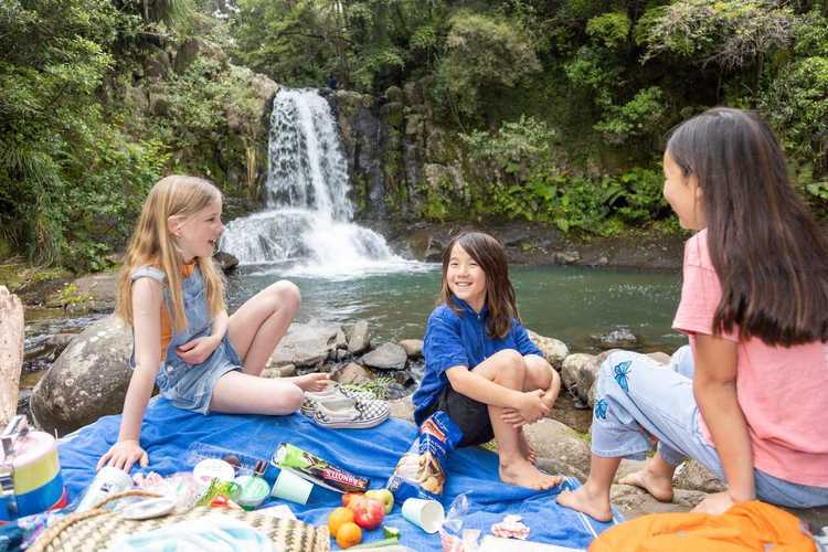 Waiua Falls Kauri Grove 100
