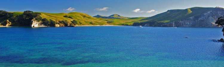 Mercury Island Trudi Hayde Mercury Island Trudi Hayde
