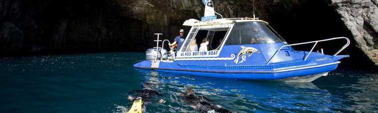 Glass bottom boat Glass bottom boat