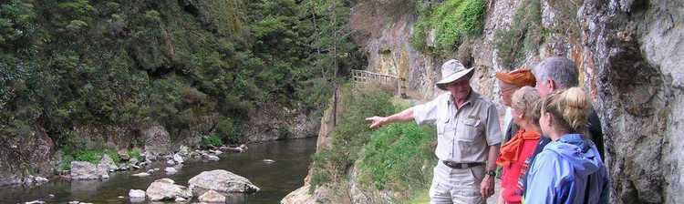 Kiwi Dundee Karangahake Gor Kiwi Dundee Karangahake Gor