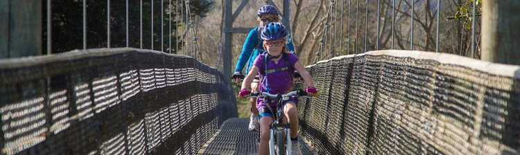 Hauraki Rail Trail Cycling the Haurak Rail Trail