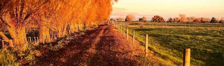 Hauraki Rail Trail9 Autumn on the Hauraki Rail Trail is a charming experience