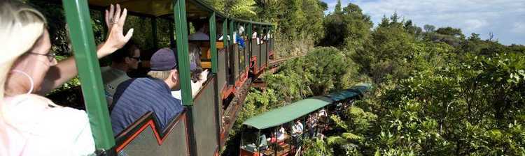 Driving Creek Railway People enjoying the one hour train journey at Driving Creek Railway