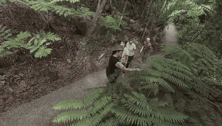 Virtual Tours