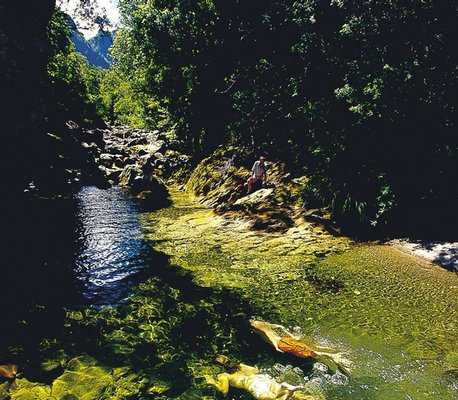 Puketui Valley