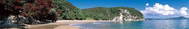 Tourism Coromandel
