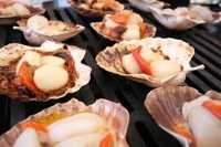 Scallop Festival