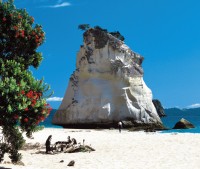 Cathedral Cove 